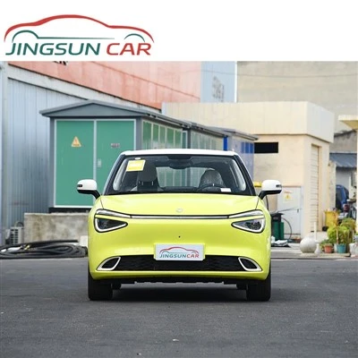 Dongfeng NAMMI 01